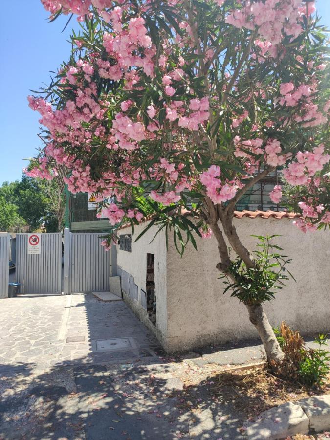 Casa Vacanze Fiumicino Exterior foto